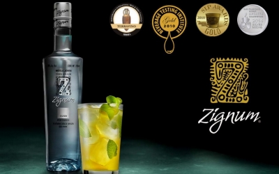 Discover the Mezcal